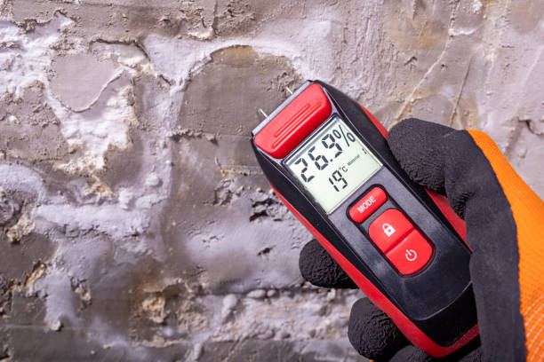 Best Office Mold Removal Services  in Marquette, MI