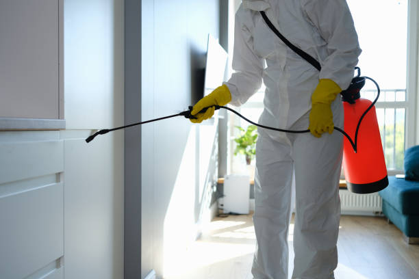 Best Commercial Mold Removal  in Marquette, MI