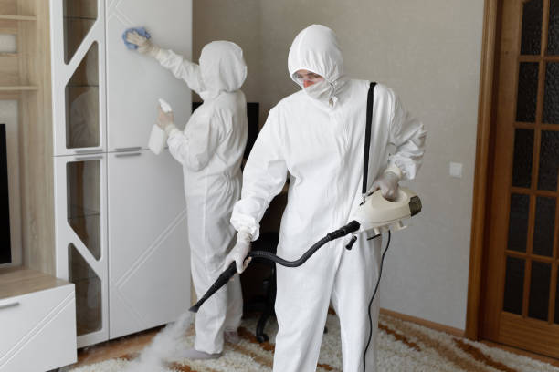 Mold Testing and Removal in Marquette, MI