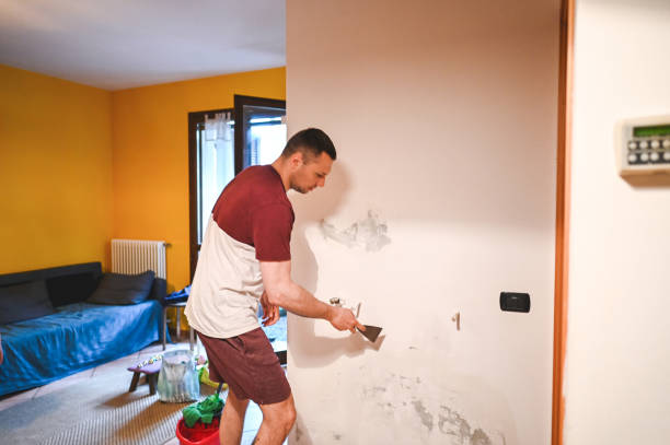 Best Same-Day Mold Removal  in Marquette, MI